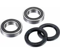 Factory Links Yamaha Yfm 660 R Raptor 01-05/yfs 200 Blaster 03-06 Ara-y-011 Wheel Bearing Kit Argenté
