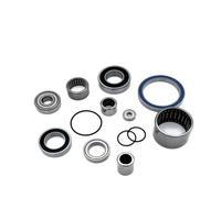 Kit de roulement pour moteur Black Bearing Bosch Performance Line/CX Generation 2 - argenté