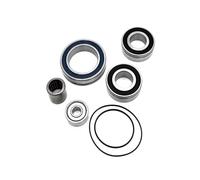 Kit de roulement pour moteur panasonic 36v Black Bearing Argenté