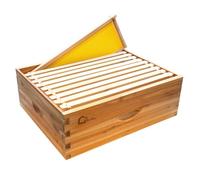 Kit de Ruche 10 Cadres Compatible Langstroth, Cèdre Imprégné à la Cire d'Abeille 100% Naturelle, Étanche, Pré-percé pour Assemblage Facile, Inclut Cadres et Fondations en Cire, Durable et Extensible