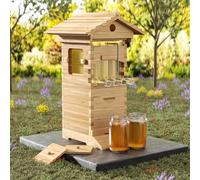 Kit de ruche Langstroth style ruche, système complet de miel à flux automatique avec cadres sans BPA, boîte de ruche en bois de cèdre et de pin avec chambre de couvain, 4 cadres Super, équipement