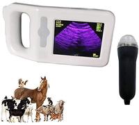 Kit De Scanner D’échographie Vétérinaire Machine à Ultrasons Rechargeable Portable Intelligente avec Sonde De Secteur Mécanique pour Chien De Pâturage De Ferme Mouton