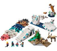 Kit de science Animaux de l'Arctique