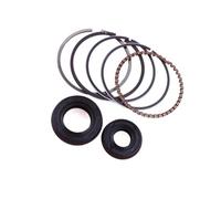 Kit de Segments de Piston 39 mm, Joint d'étanchéité de Vilebrequin et Joint SPI for Moteur de Tondeuse à Gazon 4 Temps GX35. Pièce détachée.