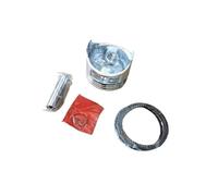 Kit de Segments de Piston 60 mm Compatible avec Les Moteurs 4 Temps GX120 et GX120K1 (Pompe, souffleur, Tondeuse) - Ensemble de Remplacement de l'axe et du Clip de Piston