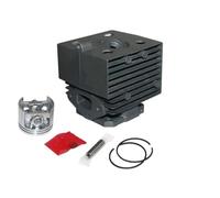 Kit de segments de piston de cylindre de 46 mm for pulvérisateur BR420 SR420 SR5600 4203 020 1201
