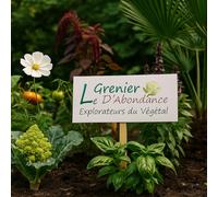 Kit de Senteurs & Merveilles - Semences à semer Le Grenier d’Abondance - Potager sensoriel, fleurs & aromatiques