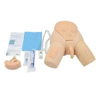 Kit de simulateur de cathétérisme urétral, modèle médical Masculin et féminin for la Pratique médicale, l'éducation infirmière