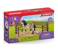 Kit De Soin Pour Chevaux Andalous - Schleich - 42270 - A Partir De 5 Ans