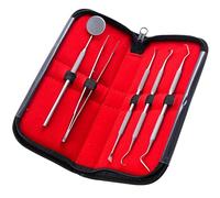 Kit de soins dentaires pour la maison et la clinique - Outil de retrait de plaque dentaire et kit de construction des dents en acier inoxydable - Kit de réparation pour hommes, femmes, enfants et