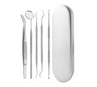Kit De Soins Dentaires Professionnels, Gratte-langue En Acier Inoxydable Et Miroir Buccal Avec Étui De Transport Pièces pour irrigateur oral(5pcs)
