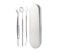 Kit De Soins Dentaires Professionnels, Gratte-langue En Acier Inoxydable Et Miroir Buccal Avec Étui De Transport Pièces pour irrigateur oral(3pcs)
