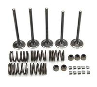 Kit de Soupape D'échappement D'admission de Cylindre en Acier, Remplacement du Kit de Soupape D'échappement D'admission de Culasse pour Grizzly 660 YFM660F 4WD 2002-2008