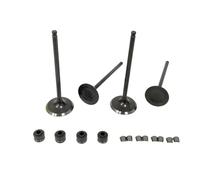 Kit de soupape d'échappement et de soupape d'admission for Moteur de Moto, Joint d'huile adapté for GTS300-4V GTS250-Wolf TZ250 ABS PD250AI LM25W6