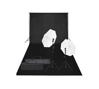 vidaXL Kit de studio photo avec éclairage et toile de fond