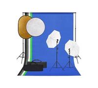 vidaXL Kit de Studio Photo avec Éclairage Toile de Fond et Réflecteur Lumière de Photographie Système de Fond Kit 3094666
