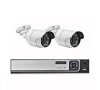 Kit de Surveillance vidéo P2P avec détection de Mouvement et détection de Visage en extérieur, H.265, POE 5MP, caméra IP, Vision Nocturne Infrarouge(4T,4CH NVR and 2Cameras)