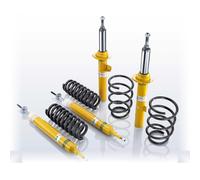 Kit de Suspension Ressorts / Amortisseur Gaz Einrohr Upside Down EIBACH pour A