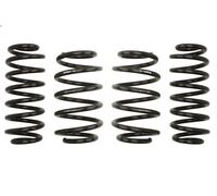 Kit de suspension, ressorts EIBACH E10-85-031-02-22 pour JETTA IV 2 2014-2017