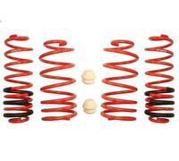 Kit de suspension, ressorts EIBACH E20-15-004-02-22 pour A3 (8L1) 1.9 2000-2003