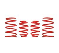 Kit de suspension, ressorts EIBACH E20-20-004-01-22