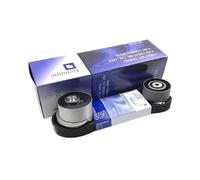Kit de tendeur de courroie de distribution de voiture 3 pièces/ensemble OEM 24422964 55574864 24436052 Compatible Pour Chevrolet AVEO CRUZE ORLANDO OPEL ASTRA ZAFIRA