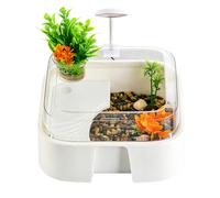 Kit De Terrarium pour Tortue,Enclos pour Reptiles avec Décorations | Habitat pour Bernard-Et Terrarium pour Tortue | pour Intérieur Bureau Maison Poisson Dragon Barbu Crevette Gecko