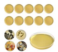 Kit de test de moisissure pour la maison, 10 tests simples de détection de moisissures, analyse de laboratoire optionnelle, système CVC, air ambiant, surfaces domestiques pour moules