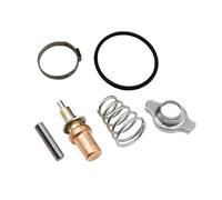 Kit de thermostat compatible avec 75 80 90 100 115 135 150 HP 892864T06 18-3635 892864A06