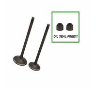 Kit De Tige De Valve D'admission Et D'échappement, Pièces De Moteur De Moto Pour Yamaha Glory Yp250r X-Max Yfu1 Pro Hauler Yfb250 Timberwolf 2wd ""Nipseyteko