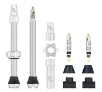 Kit de tige de valve tubeless Wolf Tooth Argenté