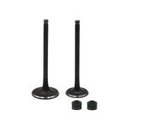 Kit de tige In&Ex for moto DR200 1986-1917 | DF200 1996-1999 RV200 VAN VAN200 2000-2006 2007-2017