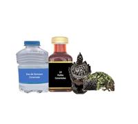 Kit de traitement soins complet Eau de Zamzam 10 huiles coranisées encensoir avec encens coranisés soins contre sorcelleries djinns sihr jalousie mauvais œil et blocages