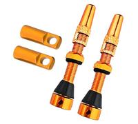 Kit de valves de vélo sans chambre à air de 60 mm avec outil de retrait intégré et bouchons de valves de vélo