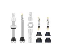 Kit de valves tubeless wolf tooth presta argent