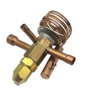 Kit de vanne d'expansion thermostatique, Détendeurs thermostatiques for dimension compacte R22 R407C R417A multicolore(Crte-9nc)
