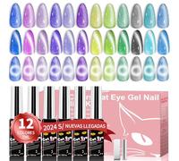 Kit De Vernis à Ongles Gel œil De Chat Clara Colors - 12 Couleurs De Vernis à Ongles Gel œil De Chat à Paillettes Holographiques Avec Aimant Top Coat à Base Noire et Blanche