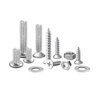 Kit De Vis Autotaraudeuses Avec Écrous, Cache-écrous, Rondelles Et Vis M2, M3, M4, M5, M6 - Collection Boîte À Outils For Bricoleur(24 types-D-295Pcs)