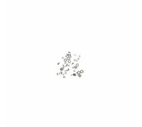 Kit de vis pour iPhone 4 Kit de vis