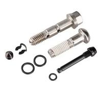 Kit de visserie Sram Level T - (Visses, Bleed Screw, Pad Pin]] Argenté