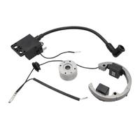 Kit de Volant d'inertie à Rotor Interne de Moto GY6, allumage AM6, 2 Temps, 50 CC, Compatible avec Les pièces de Moto Automobile SX 50, réglage de cyclomoteur, Motocross