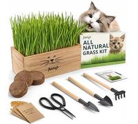 Kit de zacate pour chat d'intérieur - 4 paquets de graines | Graines de zacate pour chats avec pot en bois, sol et mini outils de jardinage à hacher - Zacate de blé sans danger pour