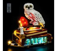 Kit d'éclairage à distance compatible avec Lego Sorcerer's Stone - Édition Collectors' 76466 (pas de modèle) - Kit d'éclairage LED compatible avec Lego Sorcerer's Stone Collectors' Edition - Modèle de