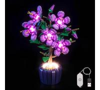 Kit d'éclairage compatible avec Lego 10372 Hibiscus Botanical Collection (pas de modèle), interrupteur à variateur tactile, kit d'éclairage LED compatible avec Lego Hibiscus 10372 Jouet créatif
