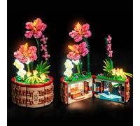 Kit d'éclairage LED, compatible avec le modèle LEGO 43252 Pot de fleurs de Moana (modèle non inclus), accessoire de décoration, jouet créatif