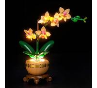 Kit d'éclairage LED compatible avec Lego 10343 Mini Orchid Botanical Collection Set (pas de modèle), kit d'éclairage décoratif compatible avec Mini Orchid 10343 Jouet créatif