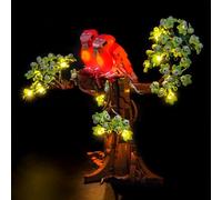 Kit d'éclairage LED compatible avec Lego 21365 Love Birds (pas de modèle), kit d'éclairage décoratif compatible avec Lego Love Birds 21365 modèle de briques
