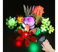 Kit d'éclairage LED pour 10309 icônes Succulentes, version de commande vocale Décoration lumineuse pour plantes succulentes Lego Botanical Collection Set for Craft (No Lego Model)