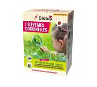 - kit d'élevage de coccinelles tout en 1 - avec envoi simultané des larves