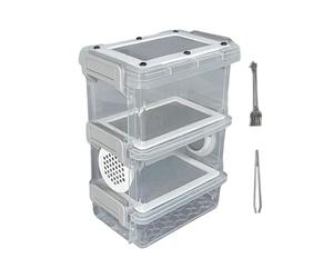 Kit d'élevage de de Farine Conteneur Stable à Filtration Multi-et Respirant